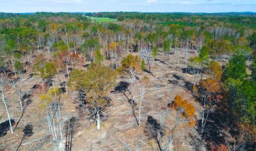 Photo of UNDER CONTRACT!  10.17 Acres of Residential Land For Sale in Lee County NC!