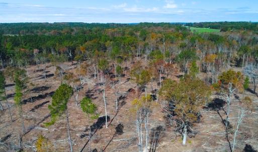 Photo of UNDER CONTRACT!  10.17 Acres of Residential Land For Sale in Lee County NC!