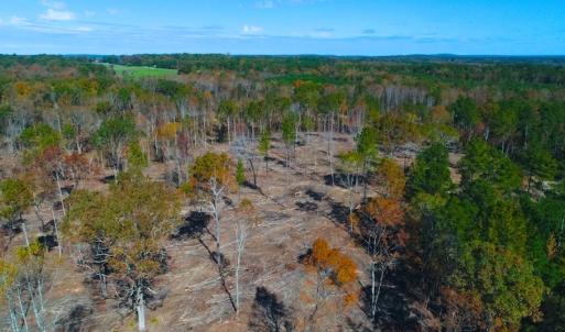 Photo of UNDER CONTRACT!  10.17 Acres of Residential Land For Sale in Lee County NC!