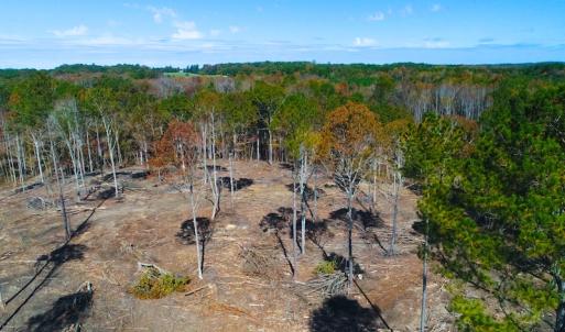 Photo of UNDER CONTRACT!  10.17 Acres of Residential Land For Sale in Lee County NC!
