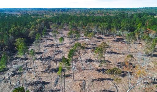 Photo of UNDER CONTRACT!  10.17 Acres of Residential Land For Sale in Lee County NC!