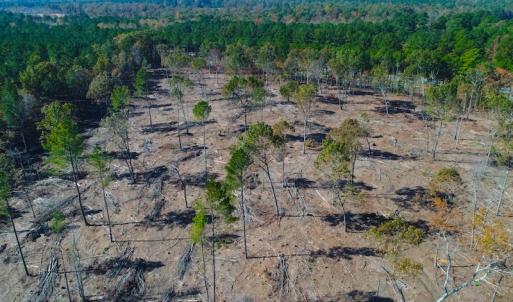 Photo of UNDER CONTRACT!  10.17 Acres of Residential Land For Sale in Lee County NC!