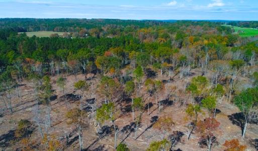 Photo of UNDER CONTRACT!  10.17 Acres of Residential Land For Sale in Lee County NC!
