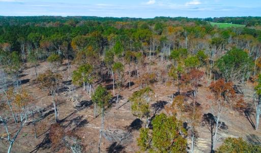 Photo of UNDER CONTRACT!  10.17 Acres of Residential Land For Sale in Lee County NC!