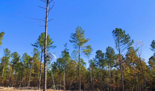 Photo of UNDER CONTRACT!  10.17 Acres of Residential Land For Sale in Lee County NC!