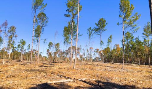 Photo of UNDER CONTRACT!  10.17 Acres of Residential Land For Sale in Lee County NC!