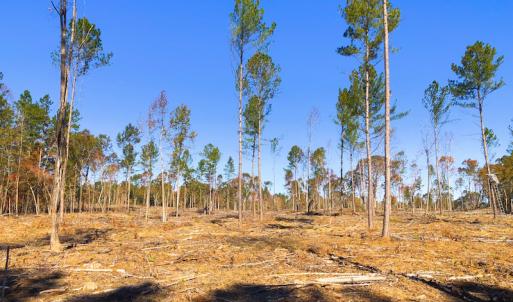 Photo of UNDER CONTRACT!  10.17 Acres of Residential Land For Sale in Lee County NC!