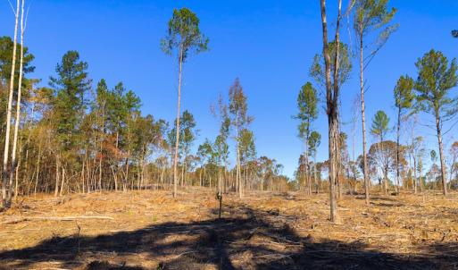 Photo of UNDER CONTRACT!  10.17 Acres of Residential Land For Sale in Lee County NC!