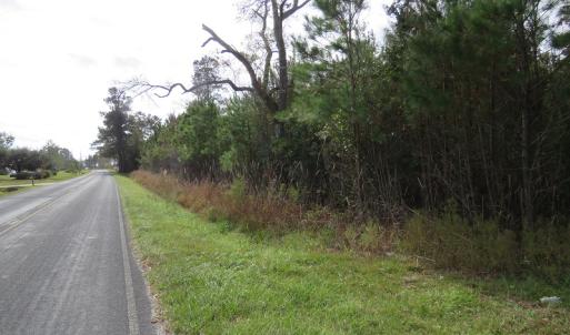 Photo of UNDER CONTRACT!  10 Acres of Hunting and Timber Land for Sale in Columbus County NC!