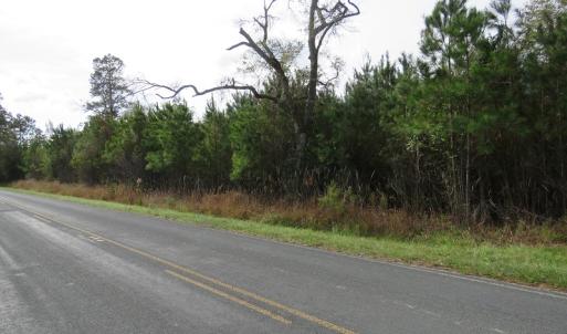 Photo of UNDER CONTRACT!  10 Acres of Hunting and Timber Land for Sale in Columbus County NC!
