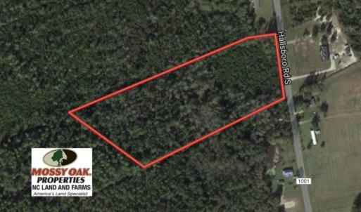 Photo of UNDER CONTRACT!  10 Acres of Hunting and Timber Land for Sale in Columbus County NC!