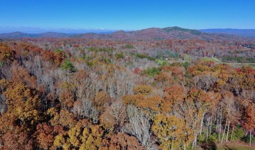 Photo of UNDER CONTRACT!  20.18 Acres of Hunting and Timber Land For Sale in Cherokee County NC!