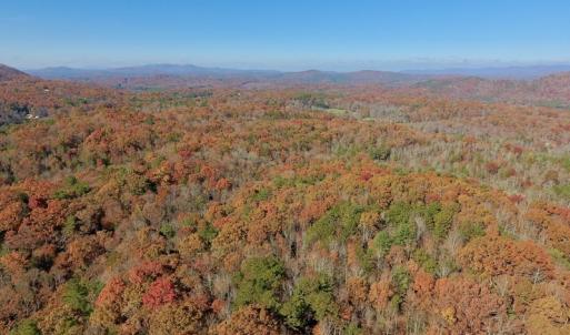 Photo of UNDER CONTRACT!  20.18 Acres of Hunting and Timber Land For Sale in Cherokee County NC!