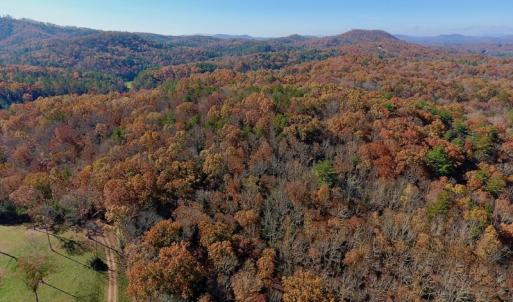 Photo of UNDER CONTRACT!  20.18 Acres of Hunting and Timber Land For Sale in Cherokee County NC!
