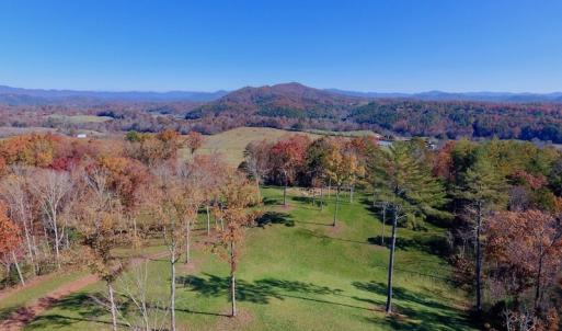 Photo of UNDER CONTRACT!  20.18 Acres of Hunting and Timber Land For Sale in Cherokee County NC!