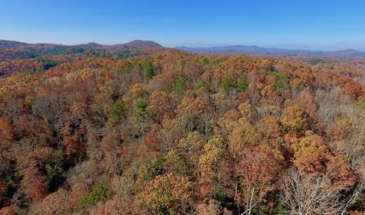 Photo of UNDER CONTRACT!  20.18 Acres of Hunting and Timber Land For Sale in Cherokee County NC!