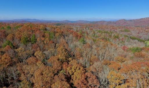 Photo of UNDER CONTRACT!  20.18 Acres of Hunting and Timber Land For Sale in Cherokee County NC!