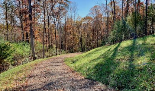 Photo of UNDER CONTRACT!  20.18 Acres of Hunting and Timber Land For Sale in Cherokee County NC!
