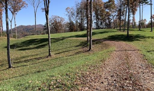 Photo of UNDER CONTRACT!  20.18 Acres of Hunting and Timber Land For Sale in Cherokee County NC!