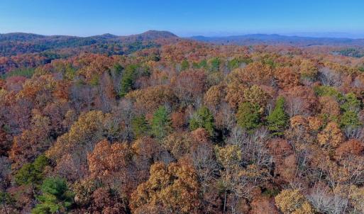 Photo of UNDER CONTRACT!  20.18 Acres of Hunting and Timber Land For Sale in Cherokee County NC!