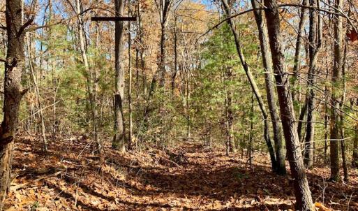 Photo of UNDER CONTRACT!  20.18 Acres of Hunting and Timber Land For Sale in Cherokee County NC!