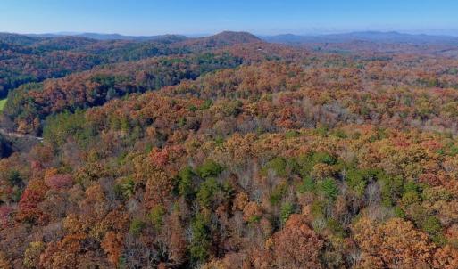 Photo of UNDER CONTRACT!  20.18 Acres of Hunting and Timber Land For Sale in Cherokee County NC!