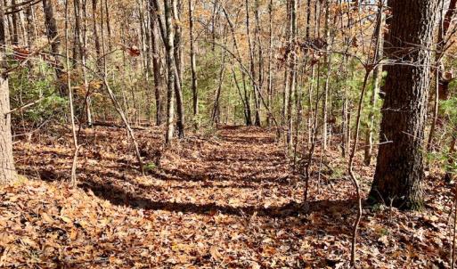 Photo of UNDER CONTRACT!  20.18 Acres of Hunting and Timber Land For Sale in Cherokee County NC!