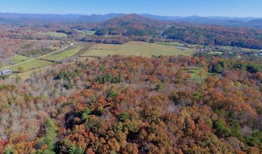 Photo of UNDER CONTRACT!  20.18 Acres of Hunting and Timber Land For Sale in Cherokee County NC!