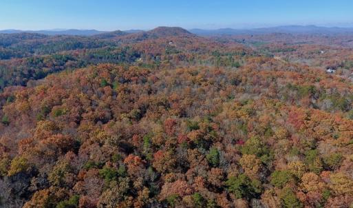 Photo of UNDER CONTRACT!  20.18 Acres of Hunting and Timber Land For Sale in Cherokee County NC!