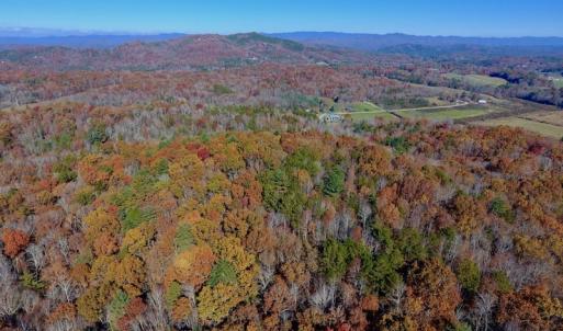 Photo of UNDER CONTRACT!  20.18 Acres of Hunting and Timber Land For Sale in Cherokee County NC!