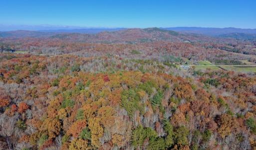Photo of UNDER CONTRACT!  20.18 Acres of Hunting and Timber Land For Sale in Cherokee County NC!