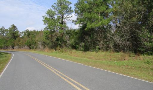 Photo of UNDER CONTRACT!  30.6 Acres of Hunting and Timber Land For Sale in Columbus County NC!