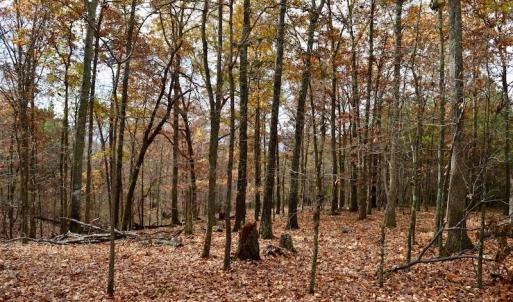 Photo of UNDER CONTRACT!  40 Acres of Recreational and Residential Land for Sale in Botetourt County VA!