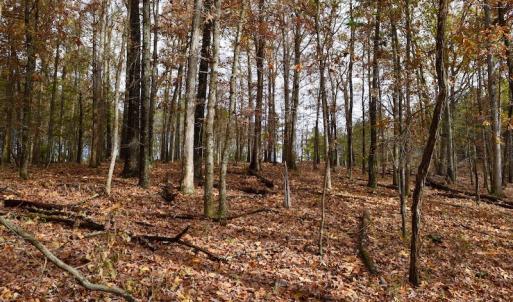 Photo of UNDER CONTRACT!  40 Acres of Recreational and Residential Land for Sale in Botetourt County VA!