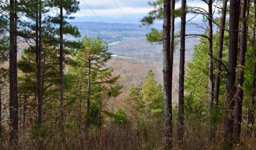 Photo of UNDER CONTRACT!  40 Acres of Recreational and Residential Land for Sale in Botetourt County VA!