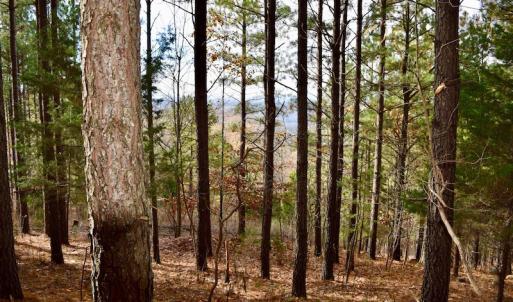 Photo of UNDER CONTRACT!  40 Acres of Recreational and Residential Land for Sale in Botetourt County VA!