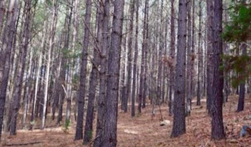 Photo of UNDER CONTRACT!  40 Acres of Recreational and Residential Land for Sale in Botetourt County VA!