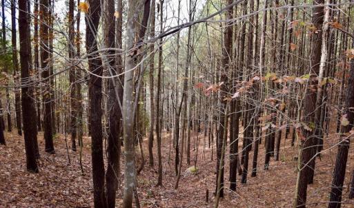 Photo of UNDER CONTRACT!  40 Acres of Recreational and Residential Land for Sale in Botetourt County VA!