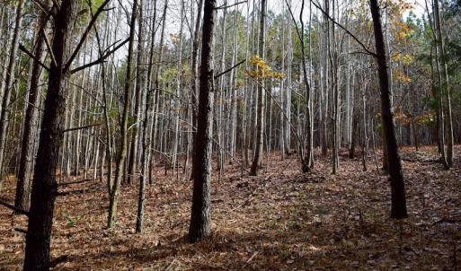 Photo of UNDER CONTRACT!  40 Acres of Recreational and Residential Land for Sale in Botetourt County VA!