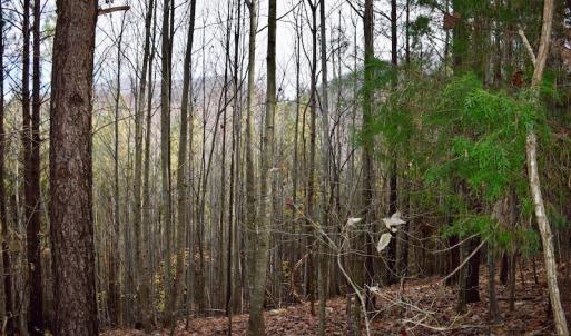 Photo of UNDER CONTRACT!  40 Acres of Recreational and Residential Land for Sale in Botetourt County VA!