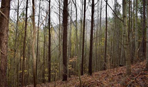 Photo of UNDER CONTRACT!  40 Acres of Recreational and Residential Land for Sale in Botetourt County VA!