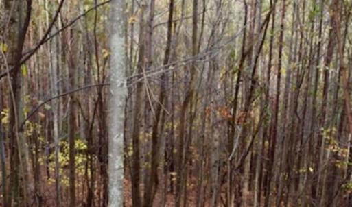 Photo of UNDER CONTRACT!  40 Acres of Recreational and Residential Land for Sale in Botetourt County VA!