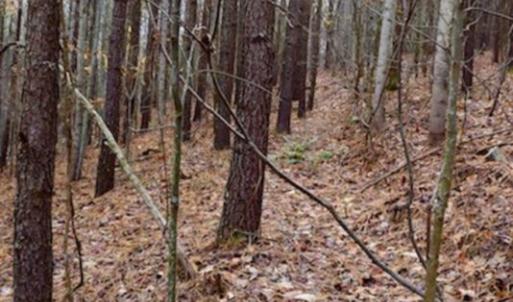 Photo of UNDER CONTRACT!  40 Acres of Recreational and Residential Land for Sale in Botetourt County VA!