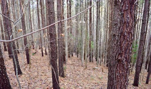 Photo of UNDER CONTRACT!  40 Acres of Recreational and Residential Land for Sale in Botetourt County VA!