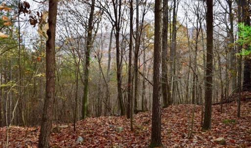 Photo of UNDER CONTRACT!  40 Acres of Recreational and Residential Land for Sale in Botetourt County VA!