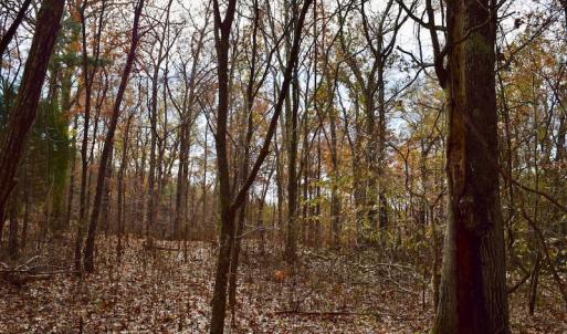 Photo of UNDER CONTRACT!  40 Acres of Recreational and Residential Land for Sale in Botetourt County VA!