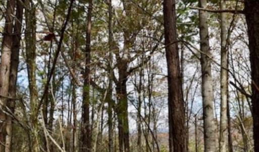 Photo of UNDER CONTRACT!  40 Acres of Recreational and Residential Land for Sale in Botetourt County VA!