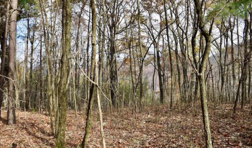 Photo of UNDER CONTRACT!  40 Acres of Recreational and Residential Land for Sale in Botetourt County VA!