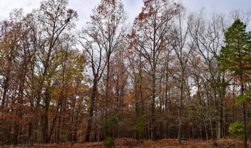 Photo of UNDER CONTRACT!  40 Acres of Recreational and Residential Land for Sale in Botetourt County VA!