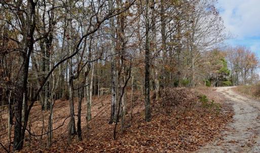 Photo of UNDER CONTRACT!  40 Acres of Recreational and Residential Land for Sale in Botetourt County VA!